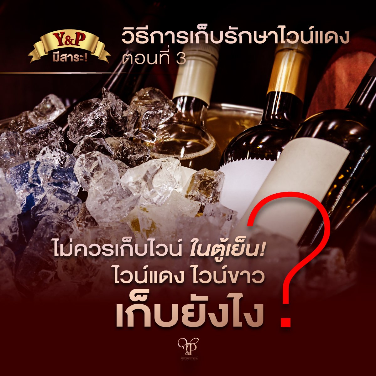 ไวน์แดง ไวน์ขาว เก็บยังไง ?