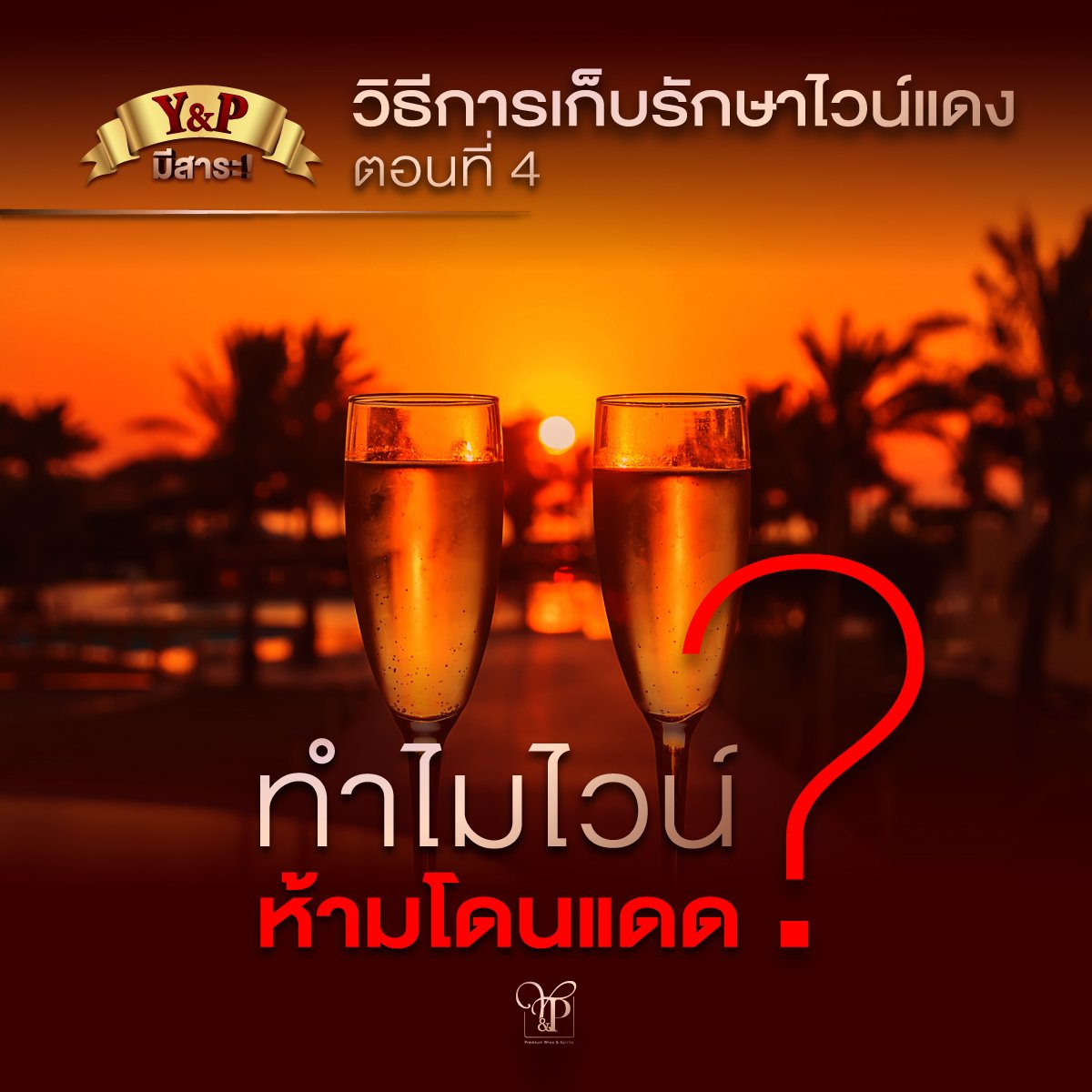 ทำไมไวน์ห้ามโดนแดด ?