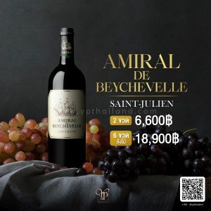 AMIRAL DE BEYCHEVELLE SAINT JULIEN