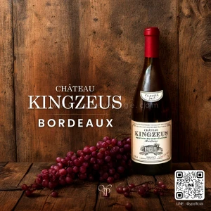 CHATEAU KINGZEUS BORDEAUX