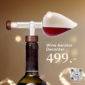 WINE AERATOR DECANTER