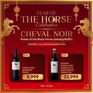 YEAR OF CELEBRATION 🐎 CHEVAL NOIR – POWER OF BLACK HORSE