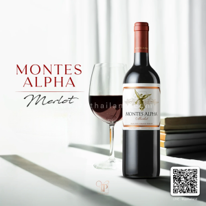 MONTES ALPHA MERLOT ไวน์แดงสุดปังสัญชาติชิลี 🇨🇱 พร้อมส่งด่วน ราคาดีที่สุด
